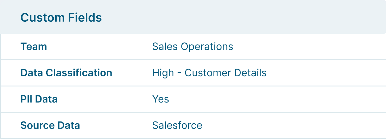 Table displaying business-specific metadata fields such as data classification, PII status, and source system